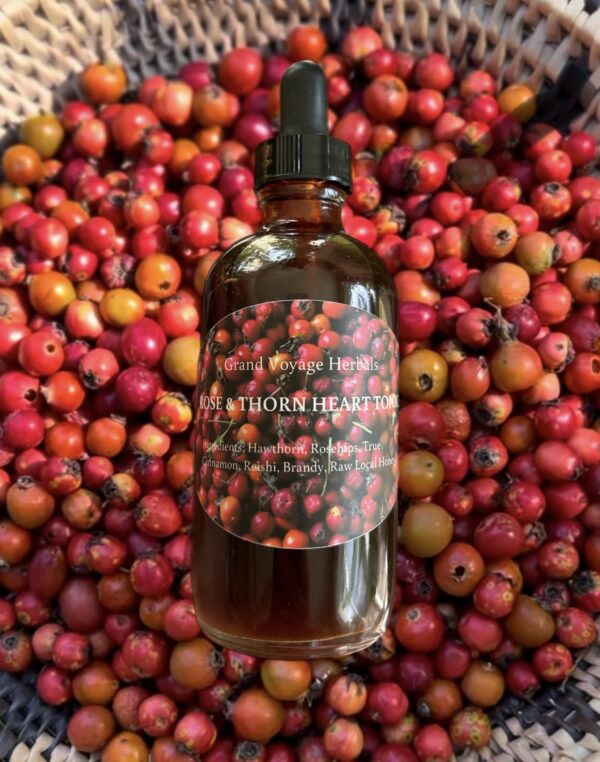 Rose & Thorn Heart Tonic